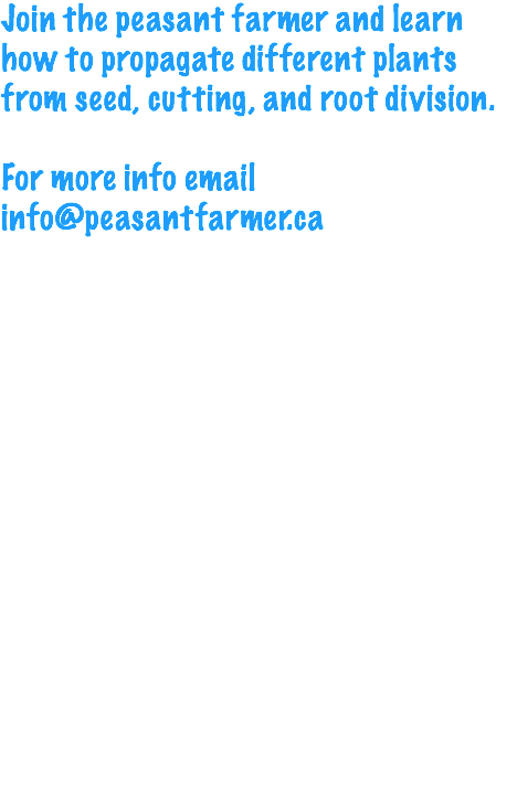 Join the peasant farmer and learn how to propagate different plants from seed, cutting, and root division. For more info email info@peasantfarmer.ca