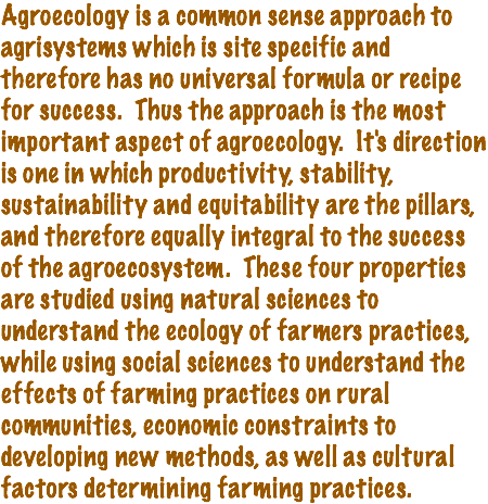 Agroecology is a common sense approach to agrisystems which is site specific and therefore has no universal formula or recipe for success. Thus the approach is the most important aspect of agroecology. It's direction is one in which productivity, stability, sustainability and equitability are the pillars, and therefore equally integral to the success of the agroecosystem. These four properties are studied using natural sciences to understand the ecology of farmers practices, while using social sciences to understand the effects of farming practices on rural communities, economic constraints to developing new methods, as well as cultural factors determining farming practices. 